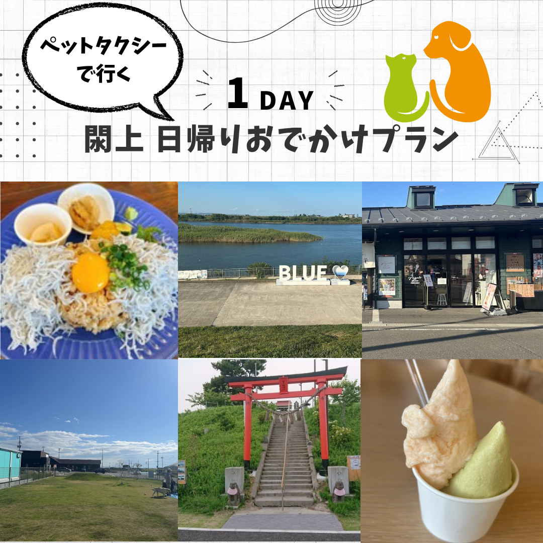 1日日帰りプラン